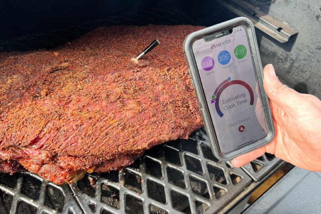 Backyard PitMaster using wireless meat thermometer while smoking brisket